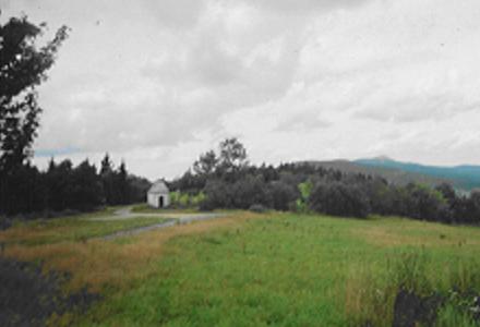 Javornick� kapli�ka