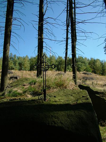 Holub�v k�� (v pozad� mobiln� v�)