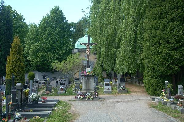 K�� na Ruprechtick�m h�bitov�