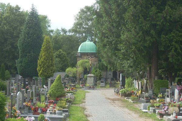 K�� na Ruprechtick�m h�bitov�