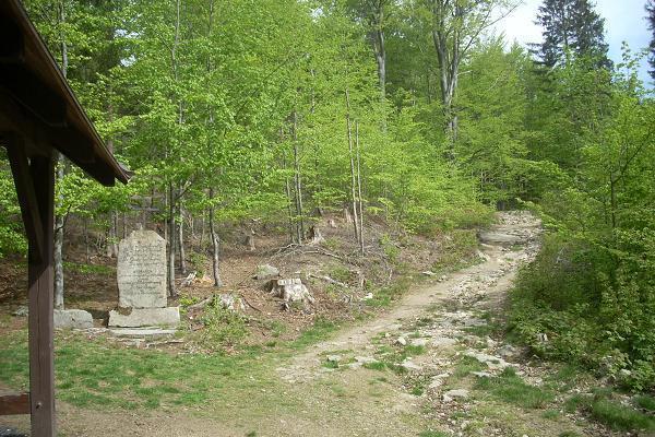 Mlyn���v k��