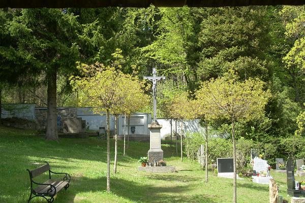 K�� na h�bitov� u �esk� Chalupy