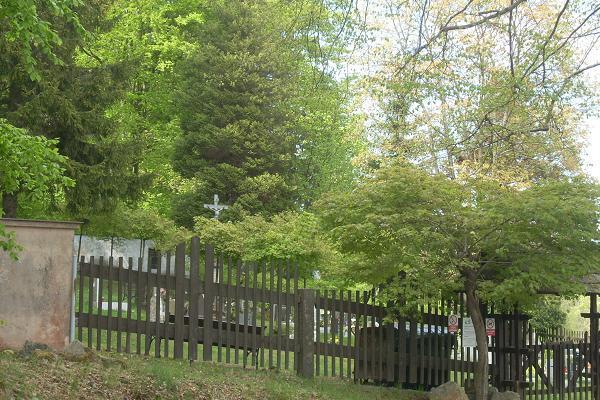 K�� na h�bitov� u �esk� Chalupy