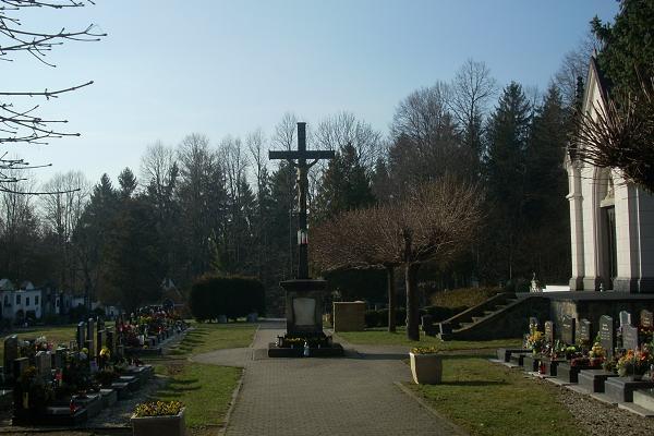 K�� na h�bitov� ve Str�i