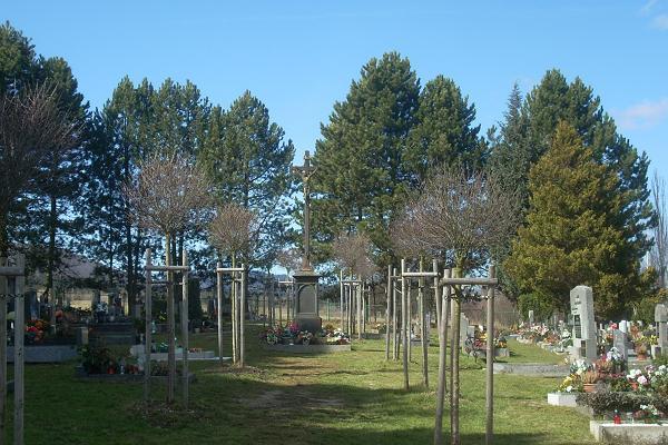 K�� na h�bitov� v Osta�ov�