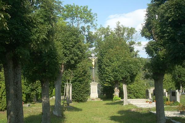 K�� na h�bitov� v Prose�i