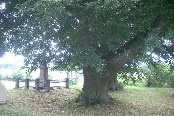 Pomn�k u Libo�ovic