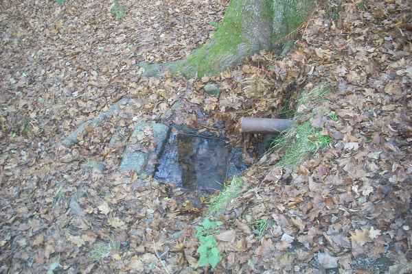 Stud�nka v Z�kapli��