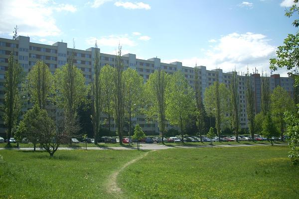 Hokejka (zezadu)
