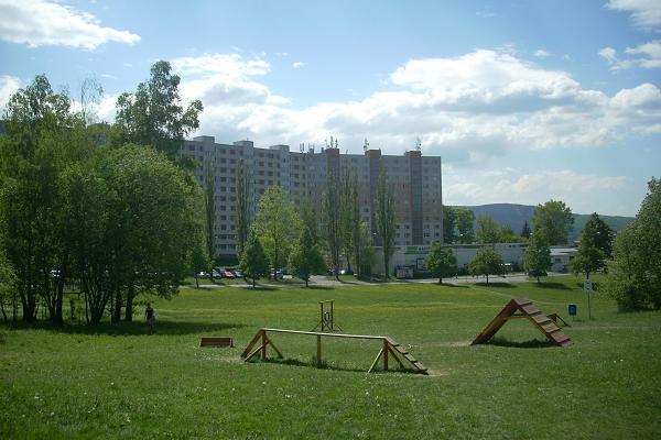 Hokejka (od psho cviit)