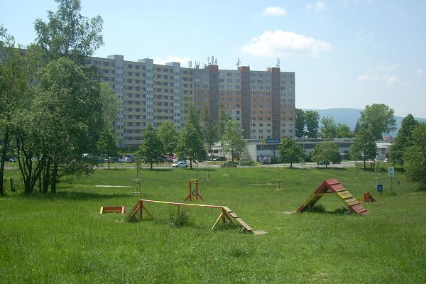 Cviit pro pejsky za Hokejkou