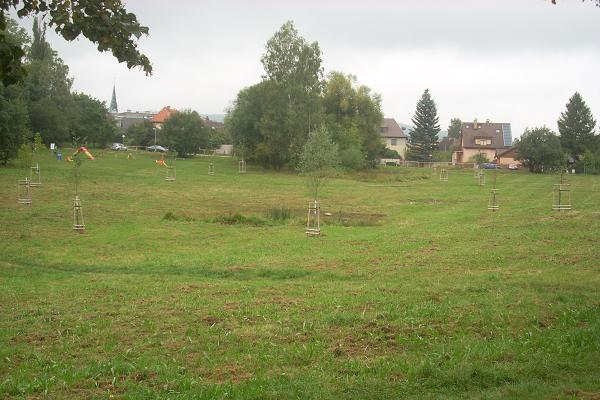 Louka za Hokejkou