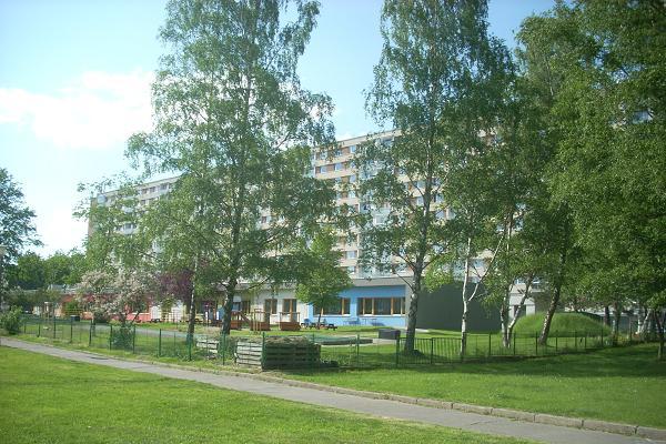 Hokejka (zepedu)
