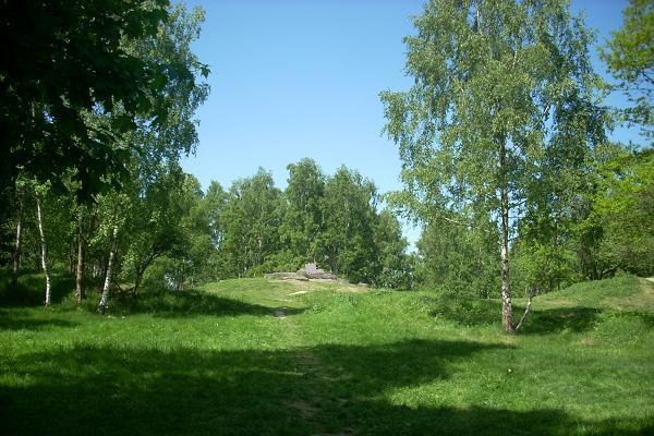 Skla Cvik