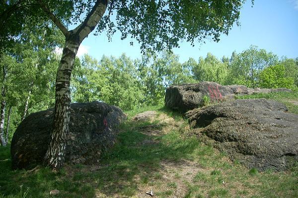 Skla Cvik