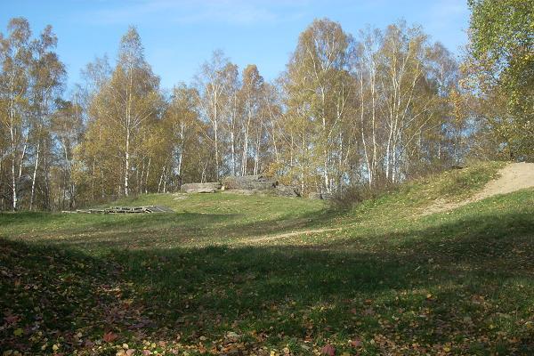 Skla Cvik
