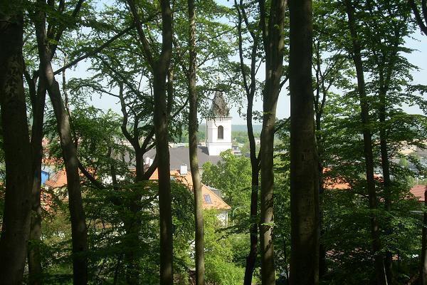 Obora Hv�zda (pohled do Liboce)