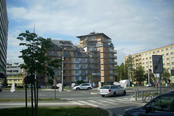 S�dli�t� Pet�iny