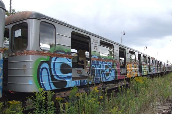 Vag�ny ur�en� do �rotu