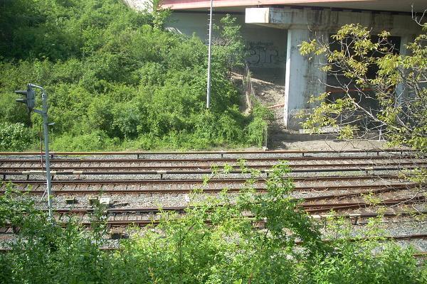 koleje do depa (pod d�lnic�)